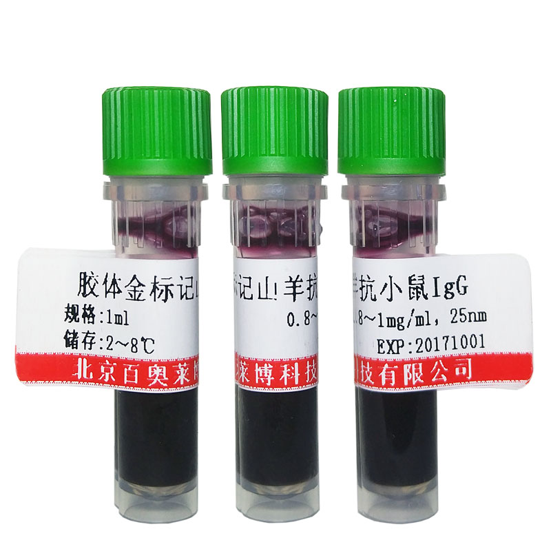 胶体金标记山羊抗小鼠IgG抗体图片